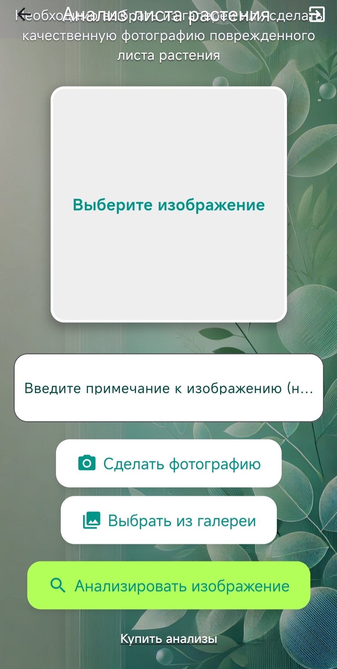Экран приложения с анализом фото растения