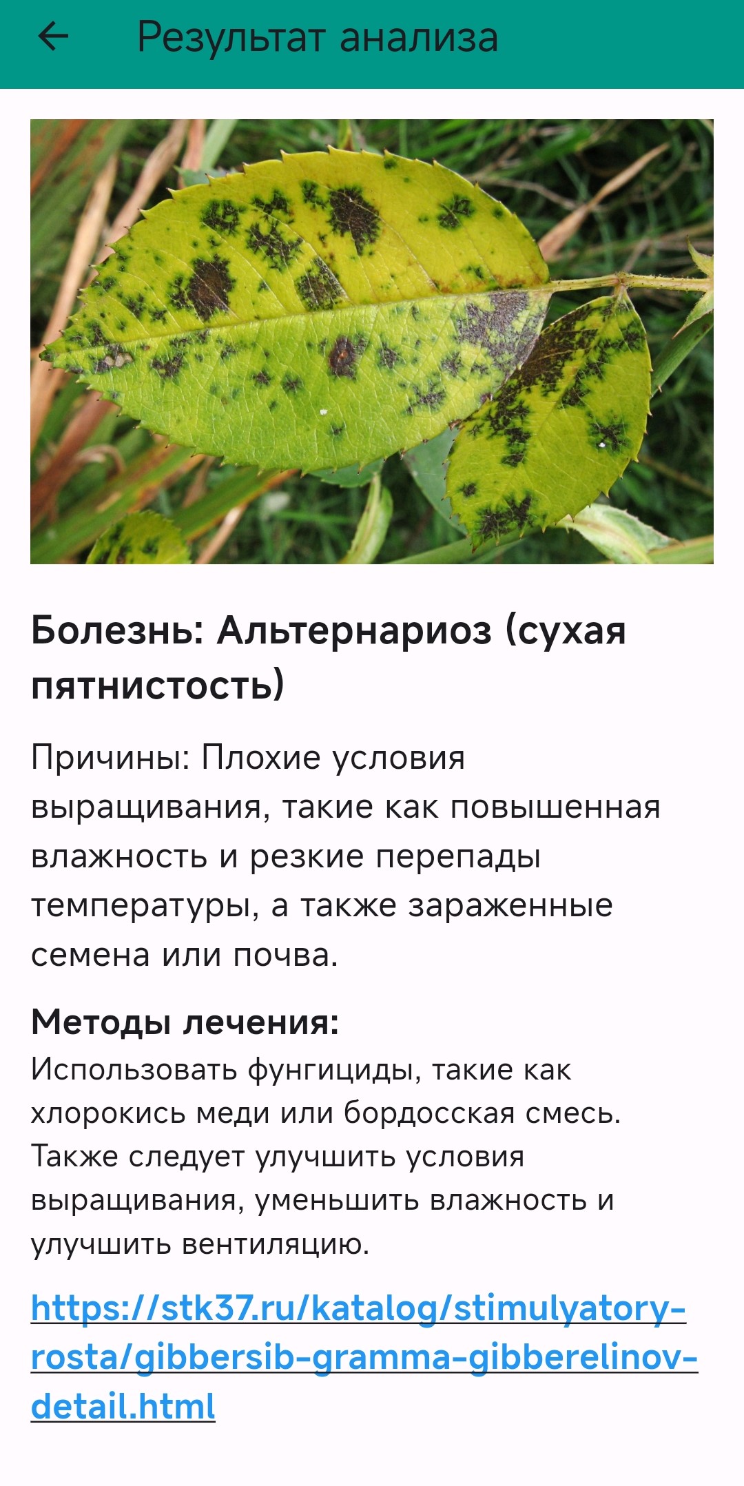 Экран приложения с рекомендациями по уходу